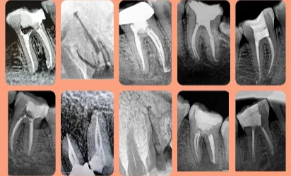 Dental clinic gallery 4