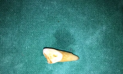 Dental clinic gallery 6
