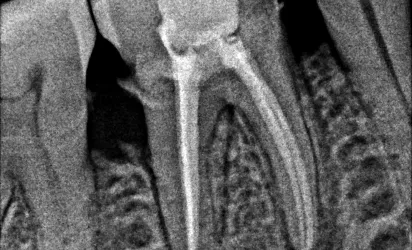 Dental clinic gallery 8
